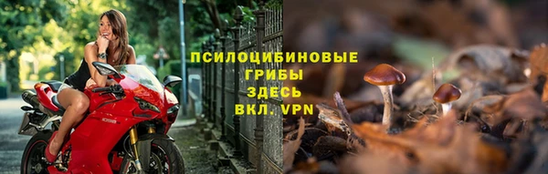 хмурый Зеленокумск