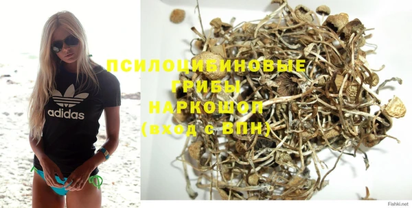 амф Зерноград