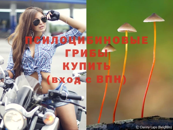 амф Зерноград