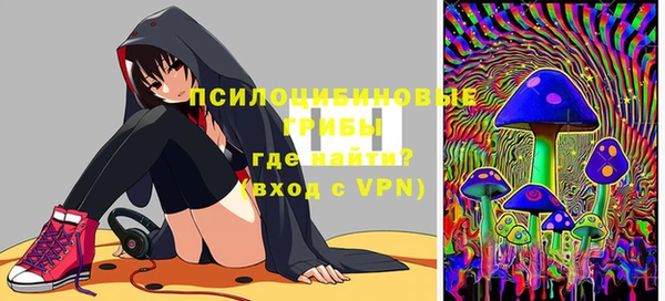 хмурый Зеленокумск