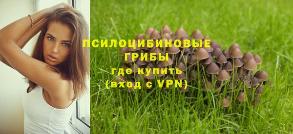 хмурый Зеленокумск