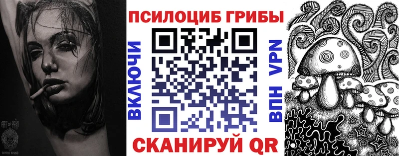 Купить закладки  Омск  Псилоцибиновые грибы Psilocybe 